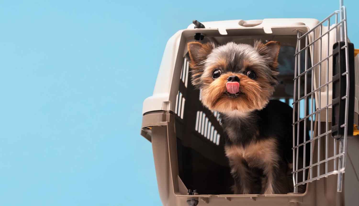 Improving Pet Lives
