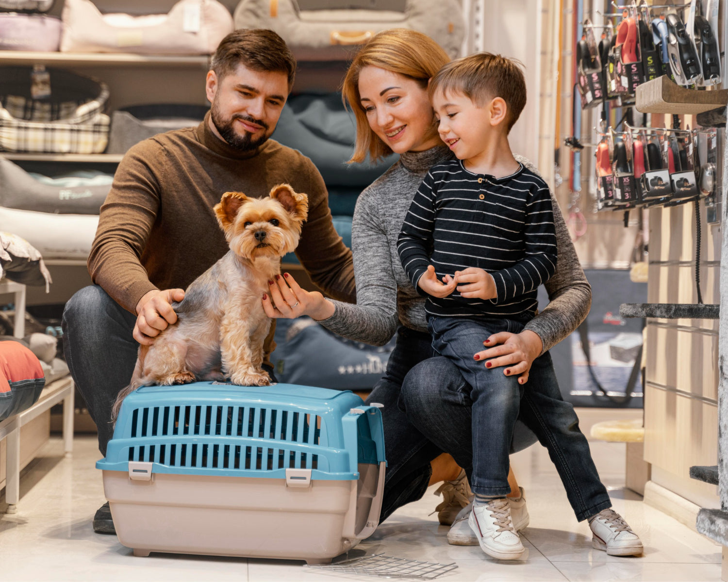 Help Your Furry Friend Find Calm and Comfort