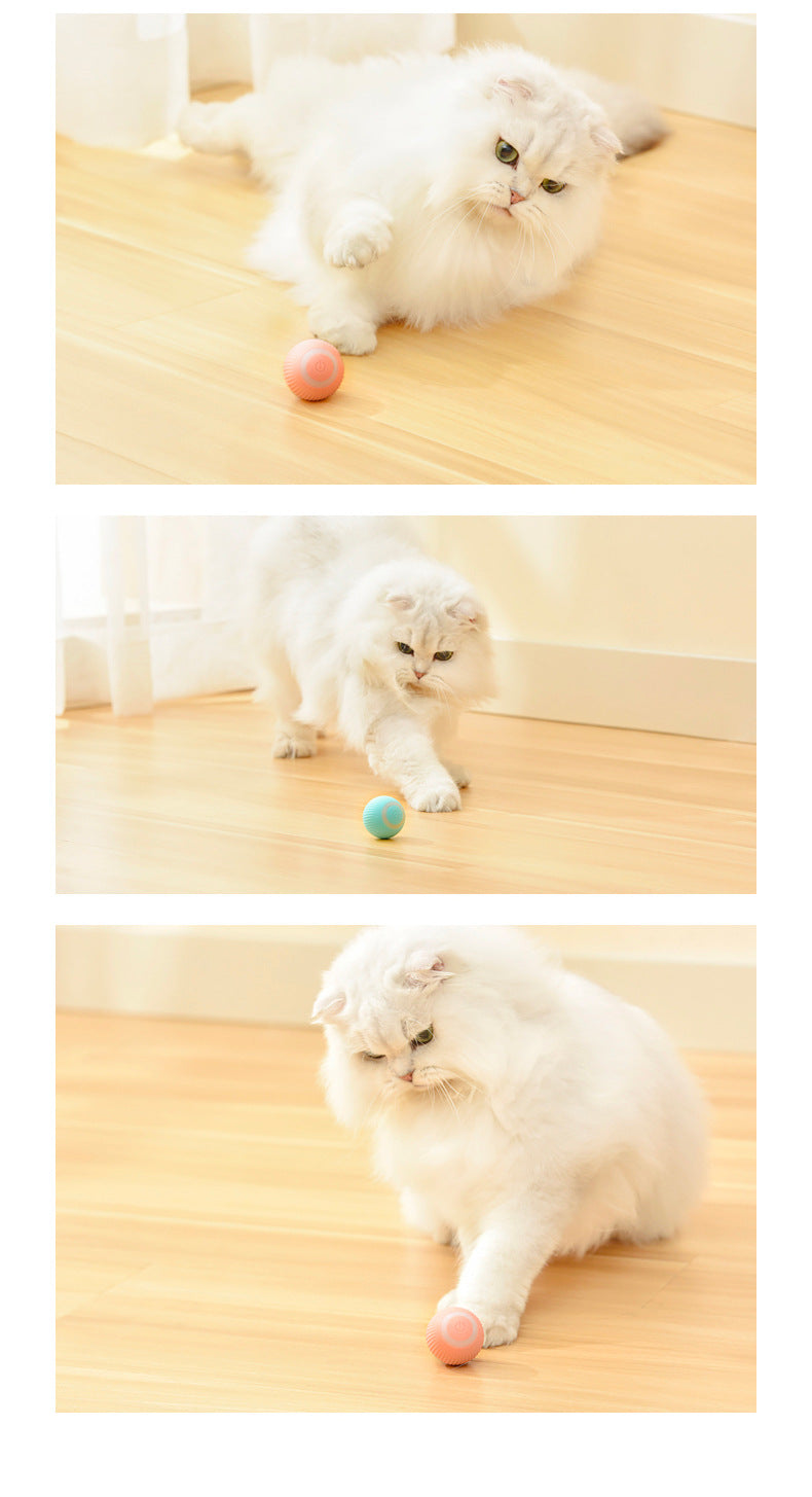 WhiskerRoll® Cat Intelligent Rolling Ball